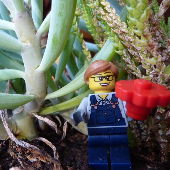 Meet your Posher, Laura - Picture 1 of 1